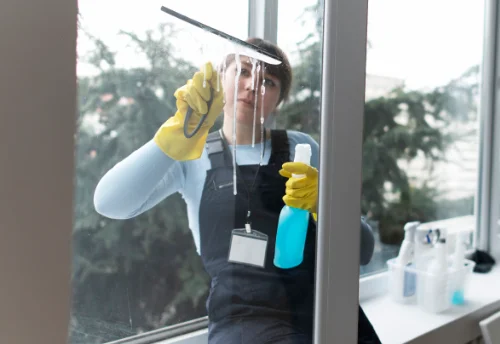 Nettoyage de vitres intérieures et extérieures à Saint-Perdon